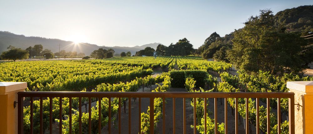 Napa Valley Lodge Yountville Eksteriør billede